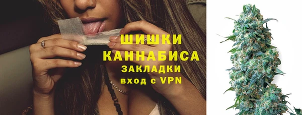 шишки Сатка