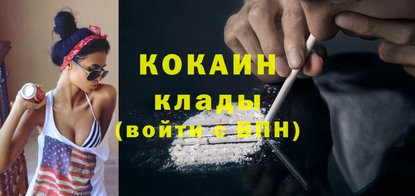 шишки Сатка