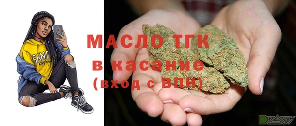 шишки Сатка