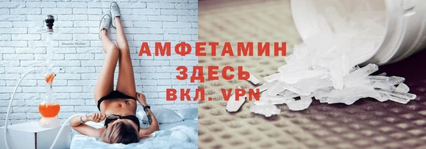 шишки Сатка