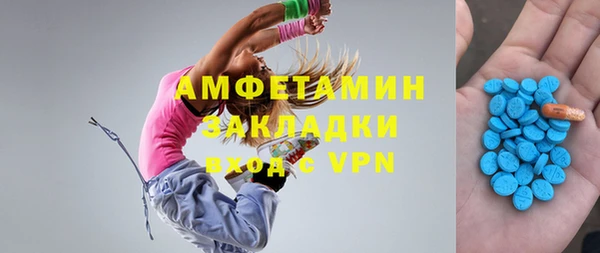 шишки Сатка