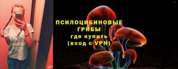 крисы Саяногорск