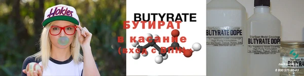 шишки Сатка