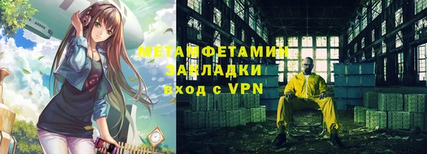 шишки Сатка