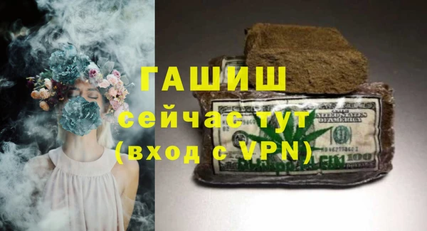 шишки Сатка
