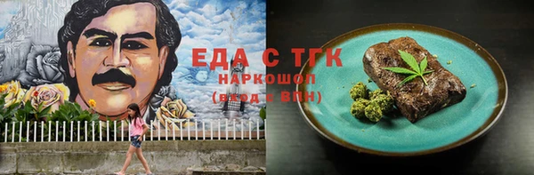 шишки Сатка