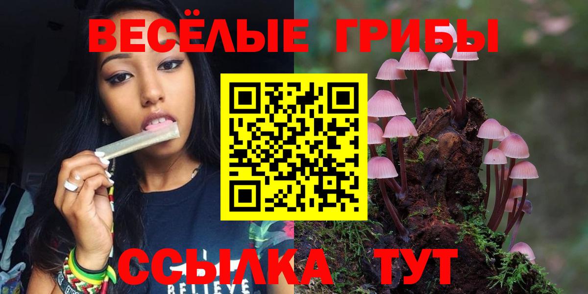 Псилоцибиновые грибы мухоморы  Вход с VPN  Бахчисарай 