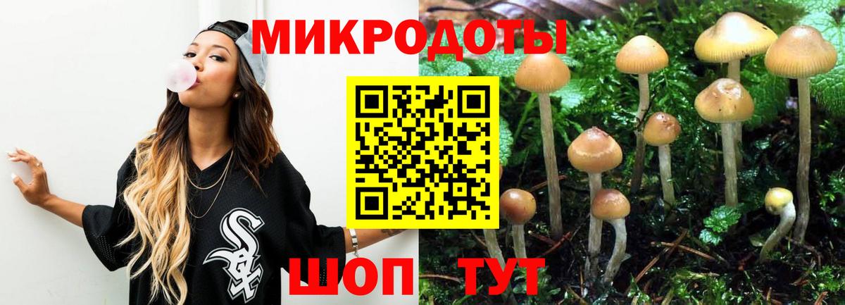 Галлюциногенные грибы Cubensis Бахчисарай